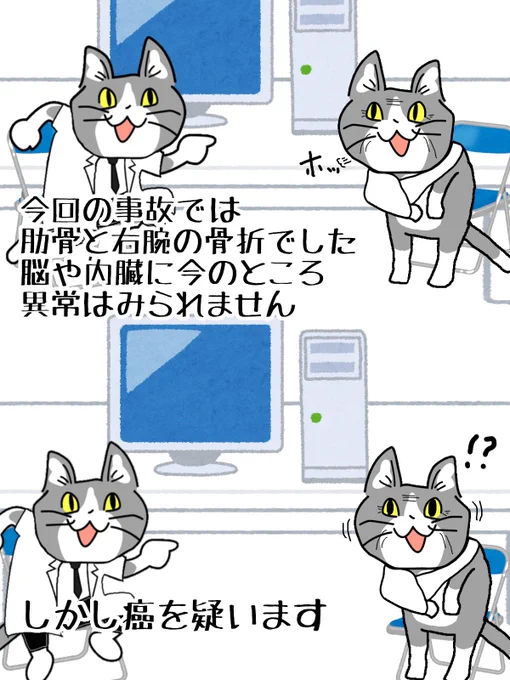 #現場猫 #看護師 
大病が事故で見つかる、あると思います。
健診は定期的に! 