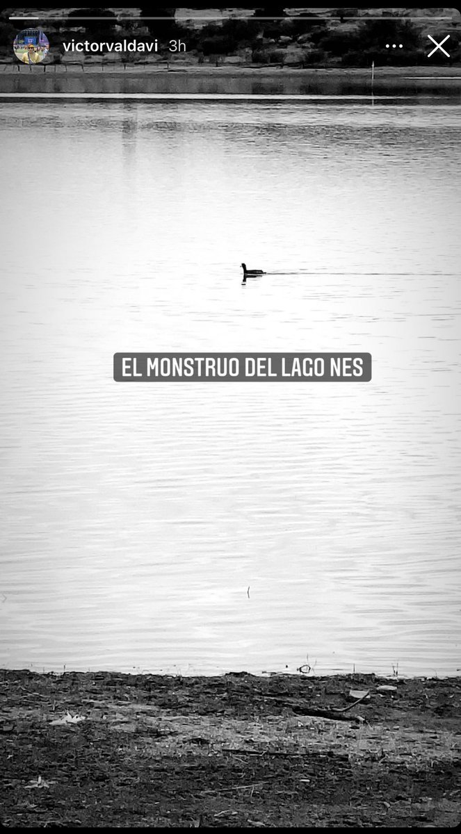 MaariaJoseV's tweet photo. Hoy tuve una date con mi novio:

la story que yo subí // la que el subió 🙂 https://t.co/zHegRqiQKJ