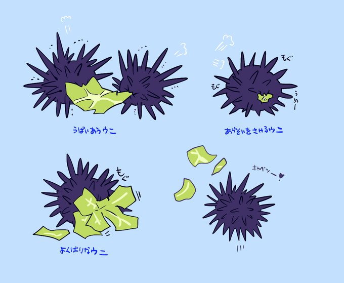 キャベツを食べるウニのtwitterイラスト検索結果 キャベツを食べるウニのtwitterイラスト検索結果