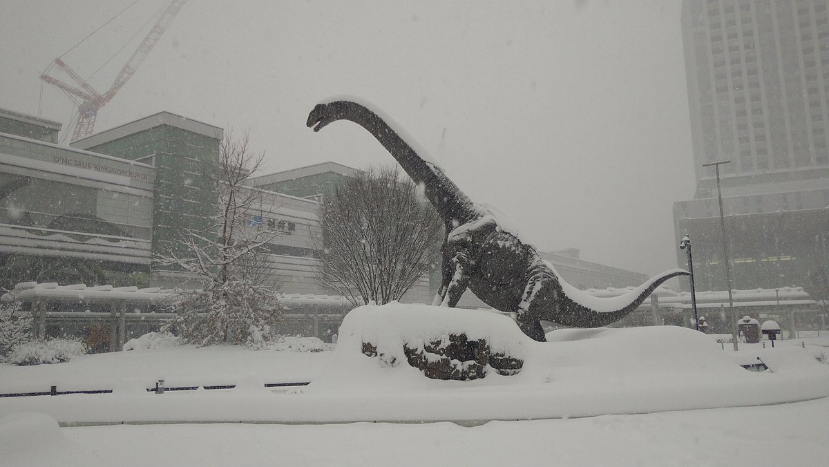 カリマンタン会田 福井駅になんとか到着 福井駅だよね 氷河期の地球にタイムスリップしてないよね 福井駅 恐竜 まるで氷河期のようだ カリマンタン会田 福井駅になんとか到着 福井駅だよね 氷河期の地球にタイムスリップしてないよね 福井駅 恐竜 まるで氷河期のようだ