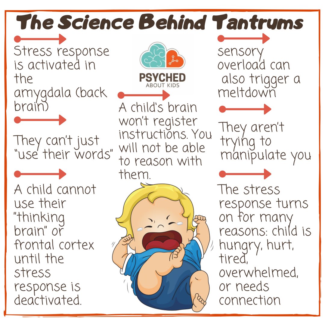 psychedabtkids's tweet photo. The science behind tantrums #science #brain #tantrums #brainscience #parenting https://t.co/LZL6su3Xl9