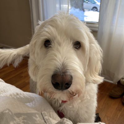 #NewProfilePic