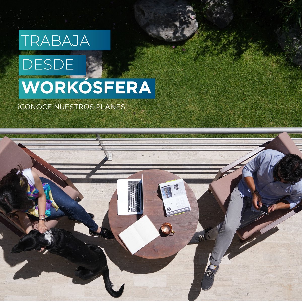 workosfera's tweet photo. En Workósfera contamos con distintos planes de acuerdo a tus necesidades. Trabaja desde workósfera.

#workosfera #coworking #espaciodetrabajo #planes #productividad https://t.co/0Jyyd5jytM