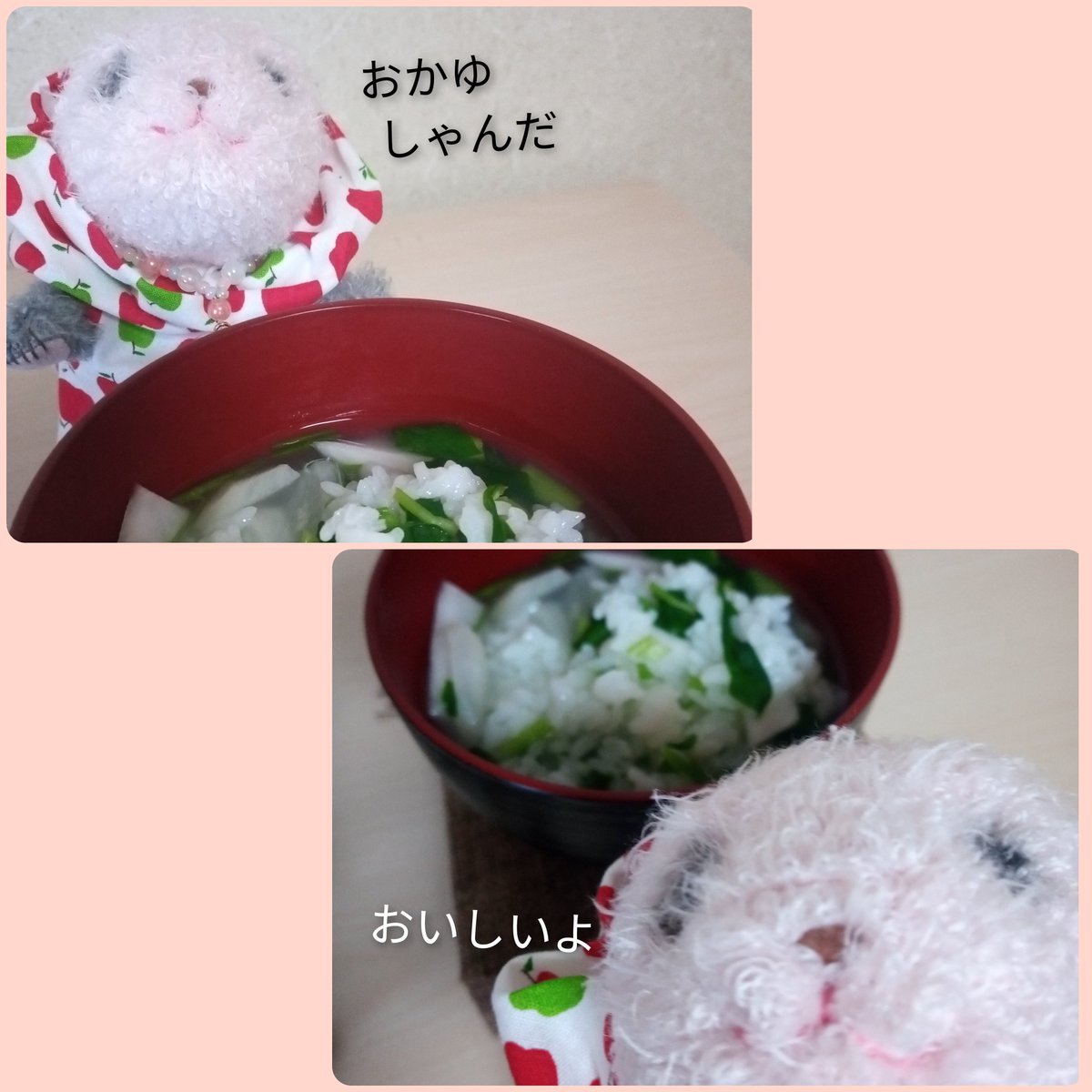 しゃんめぐ おねーしゃん おかゆしゃんつくってくれたよ ななくさしゃん ねずみしゃんもきてくれて シャンうれしい By ベビ おかゆおいしいよ By ニシチ 塩で味つけしただけなのにおいしい By おで