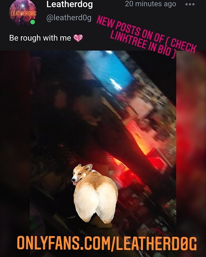 leatherd0g's tweet photo. 2NEW VIDEOS AND POSTS ON MY OF 
(check bio for linktree)

#goth #gothboy #gothgirl #gothof #femmeboy #gothgoth #tradgoth #gothmakeup #gothonlyfans #gothaesthetic #gothbf #gothgf #punk #punkboy #punkgirl #leatherdog #leatherd0g #gothtattoos #alt #altboy #altgirl #postpunk https://t.co/1Wg6K2YraT