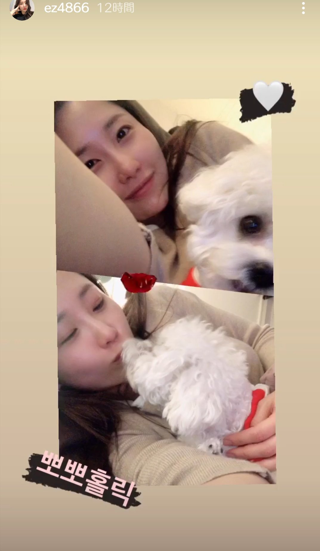 Amami これ チャンミンの犬 Amami これ チャンミンの犬