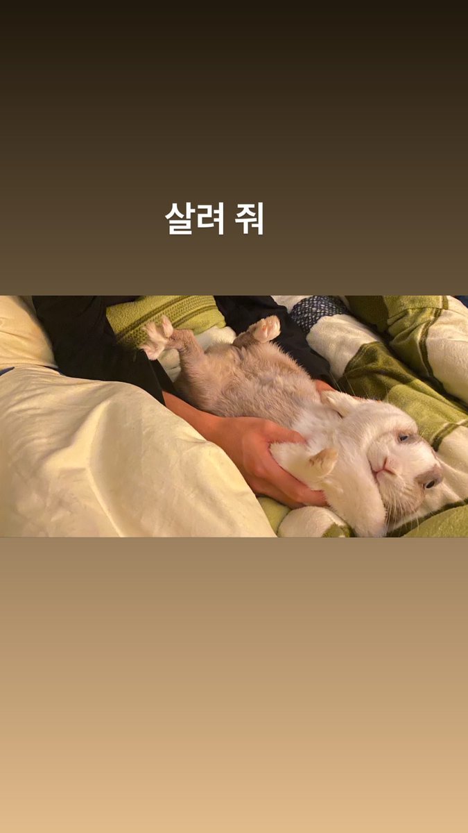 PortalBugvel's tweet photo. [IG • 27.12.20]
Atualização nos stories do Rabi (coelho do #Guno)

"Me salvem."

#BUGVEL #REBRA @bugvel_official https://t.co/vYgLuAxBrq