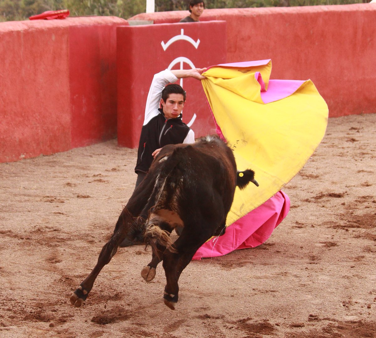 Daniel Cortina tweet media