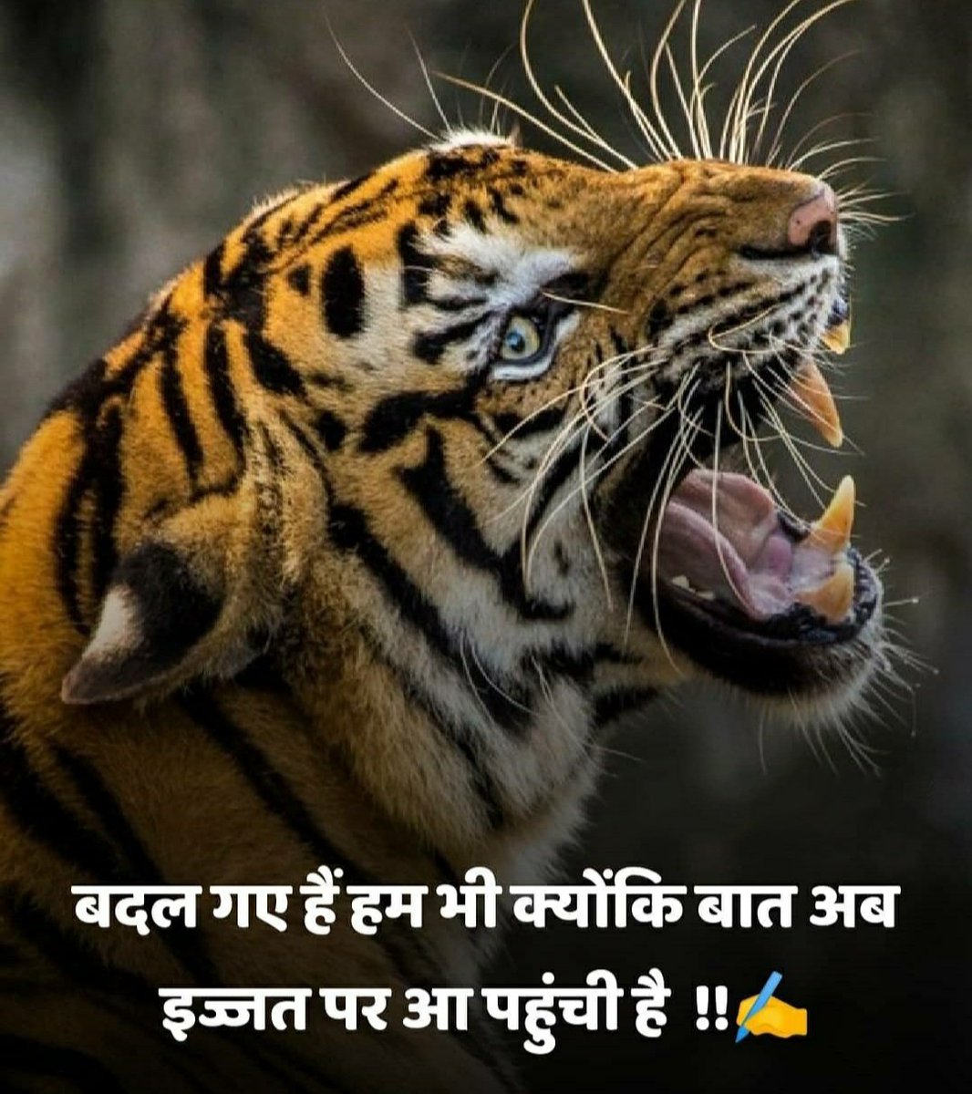 HarmanLeipzig's tweet photo. #kissanmazdoorektazindabaad 
#WeUnitedForFarmers 
#FarmersProtest 
#kissanektazindabad 
#bycottramdev 
#BycottAmbaniAdani 
#ISTANDWITHFARMER 
#NoFarmersNoFood 
#bycottjiosim 
#WeUnitedForFarmers 
#ModiSellingFarmers https://t.co/CkOHvdatgi