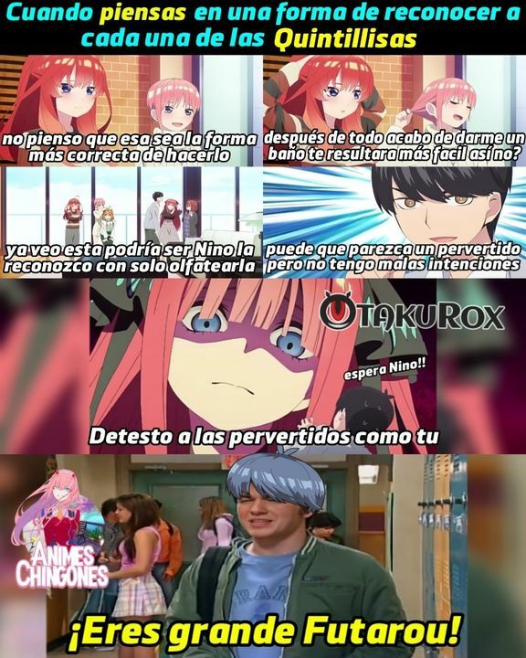 OtakuRox on X: Eres un genio Futarou 😉👍 #Anime: Gotoubun no