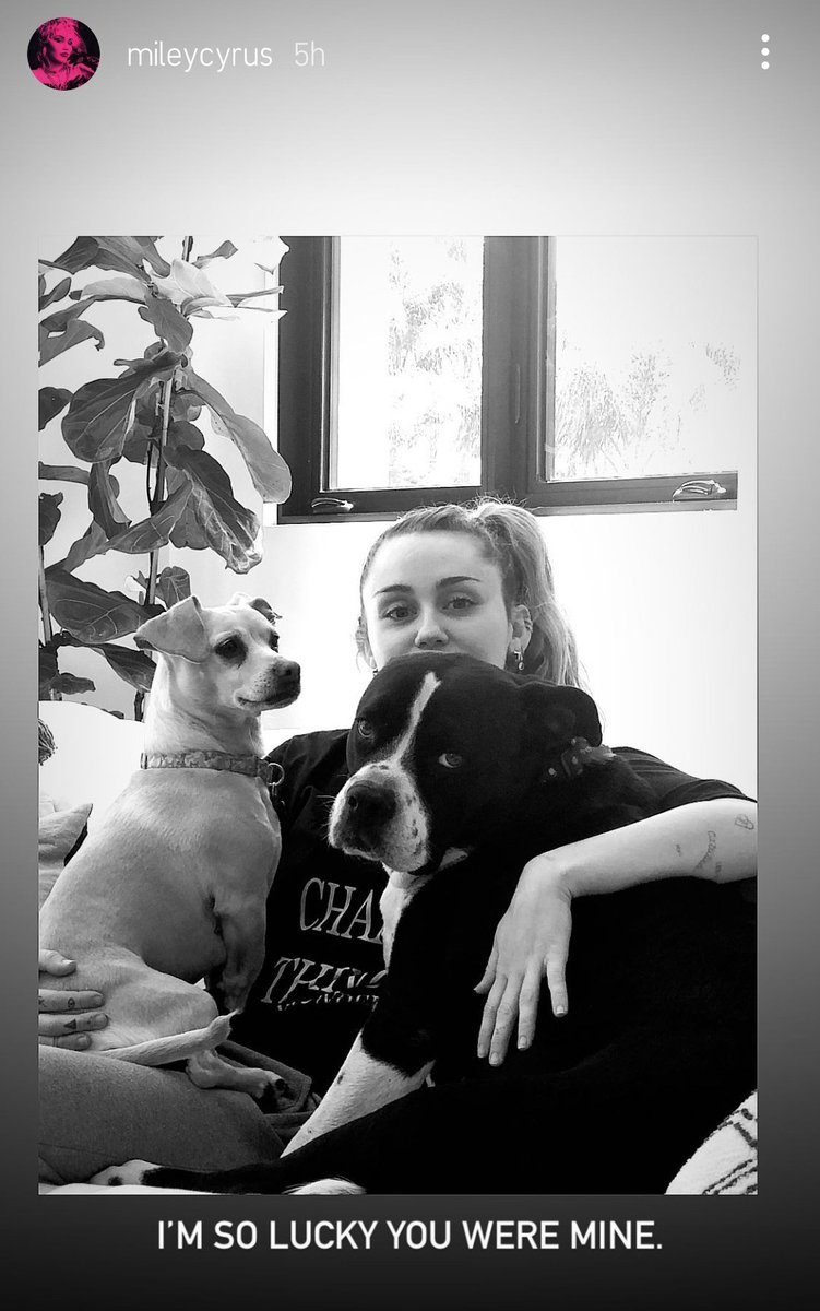 FilipinaSmiler's tweet photo. @MileyCyrus MJ indeed was lucky also to have you as her mom ❤ https://t.co/0TjxAxXADP