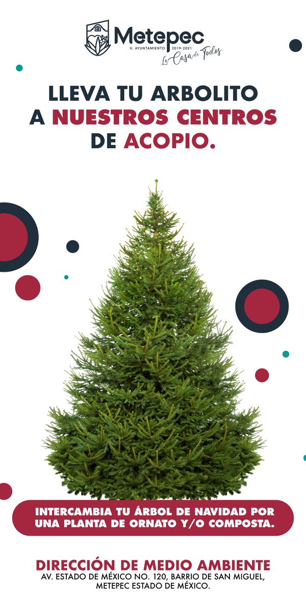 GabyGamboa_S's tweet photo. Iniciamos la recolección de árboles de Navidad. Con esta campaña buscamos fomentar la cultura ambiental y de reciclaje, además de transmitir valores y prácticas a favor del medio ambiente y el desarrollo sustentable en nuestro municipio. #MetepecVerde #MetepecLaCasaDeTodos https://t.co/Eorny2eo06