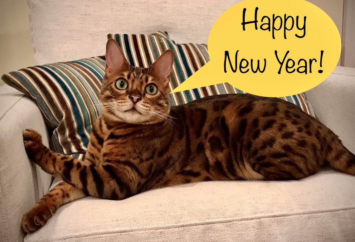 Jen_MovingPics's tweet photo. @theprincecat https://t.co/6qAkHPoIFc