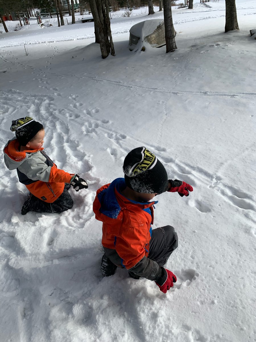 ngallagherOCSB's tweet photo. St. Catherine School brothers are examining cool animal tracks! @StCatherineOCSB https://t.co/AFXU0tj2Nb