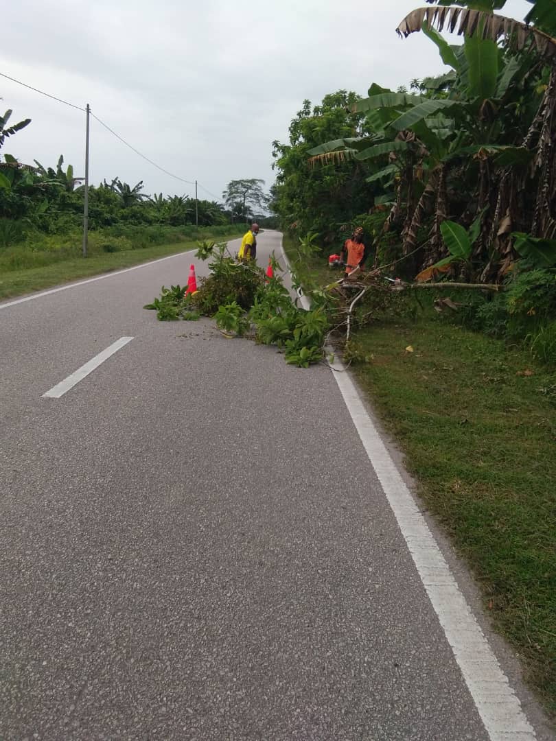 BaganJkr's tweet photo. Pelaksanaan Kerja-Kerja Mencantas Dahan Yang Menganggu Penglihatan Pemanduan Pengguna Jalan Raya Di Jalan Negeri A254 Jalan Berembang Panjang Secara Jabatan JKR Bagan Datuk Pada 4/12/2021 - 7/12/2021 https://t.co/sj0bh6QZSo