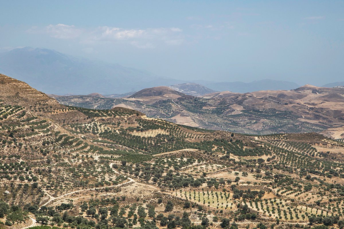 Topography enabled many technological revolutions. The Greeks had access to wine/grape plants, a great shoreline for trade, mountainous terrain for city-states, $ inflow allowing Hoplite armament, imperial ambitions by said Hoplites.An land of churn, commerce, and conquest.