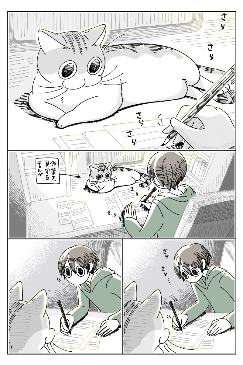 猫の顔は見るたびに変わる？！人に負けないくらい表情豊かな猫！