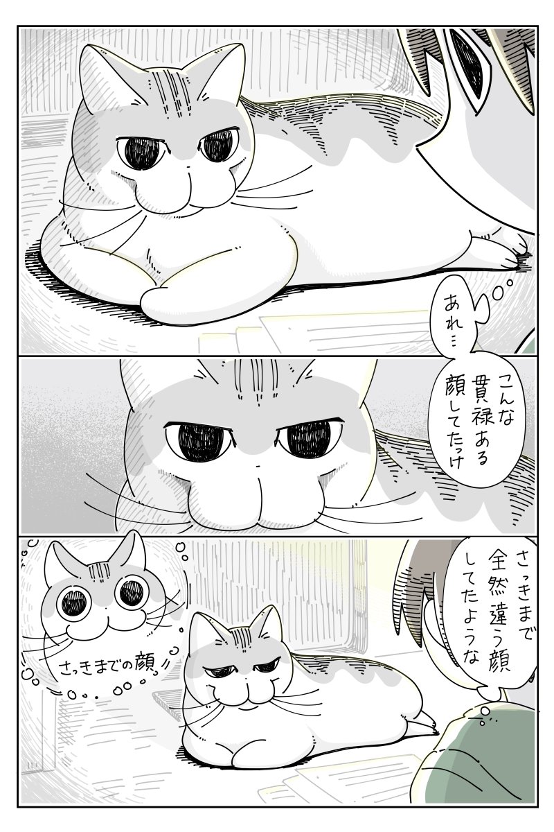 見るたび顔が違うネコ
https://t.co/54txW1NTy5 