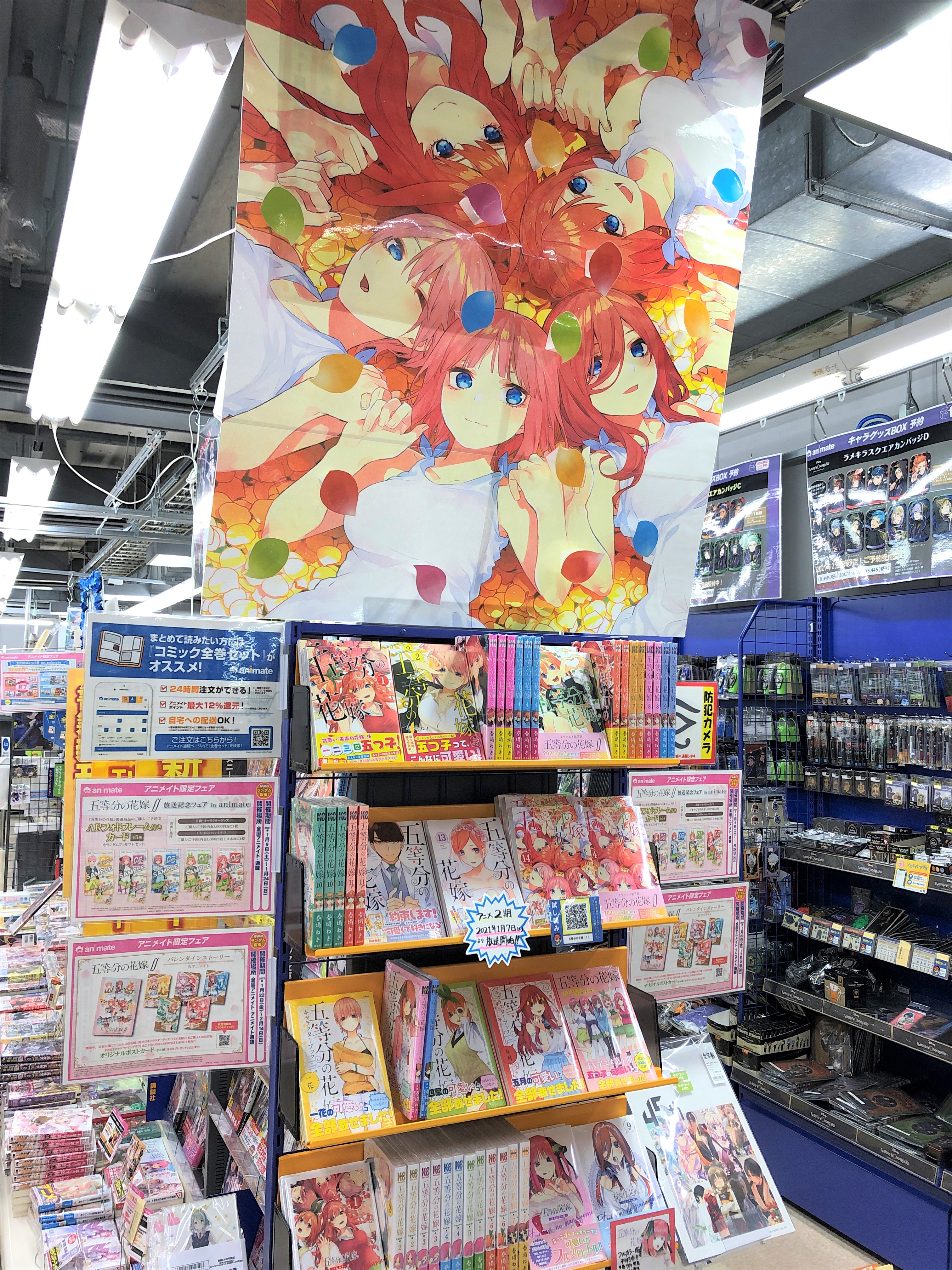 五等分の花嫁 1〜14巻＋イラスト集付き！（1000円値引き済み ☆五等分の花嫁 1～14巻 全巻 コミックセット 特装版ミニ
