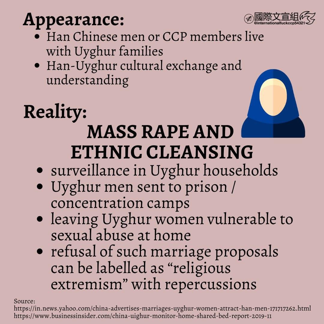 shiroihamusan's tweet photo. @TomCottonAR There's no extremists in #Xinjiang, but only dictators who are genociding #ugyhurs https://t.co/iAvLEzhWPI