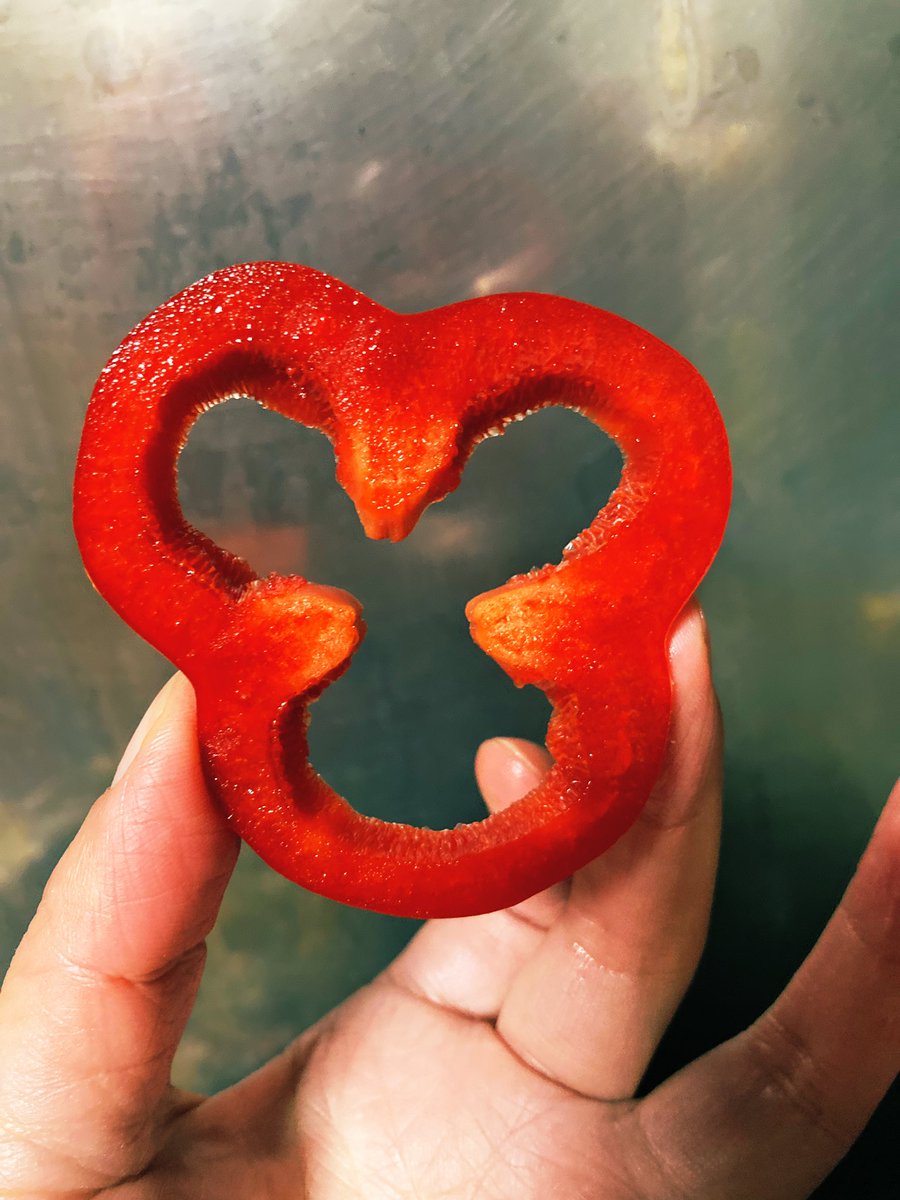 Yossan イラストレーター 絵本作家 ミッキーマウス ミッキーマウス ミッキ ミッキーマウス パプリカ パポー