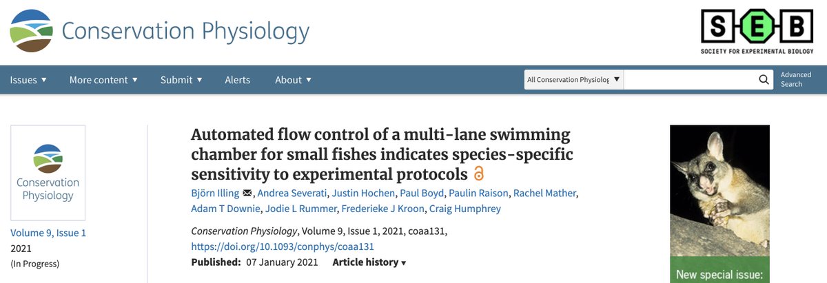 physiologyfish's tweet photo. Ever wonder how to exercise the tiniest (but arguably some of the best) athletes of the oceans? Check out new paper led by @Bjoern_Illing in @conphysjournal #openaccess here: https://t.co/uo92knzUAy #aquaticathletes #fish #RummerLab @CoralCoE @jcu @aims_gov_au @SeaSim_AIMS https://t.co/h678S1jYsu
