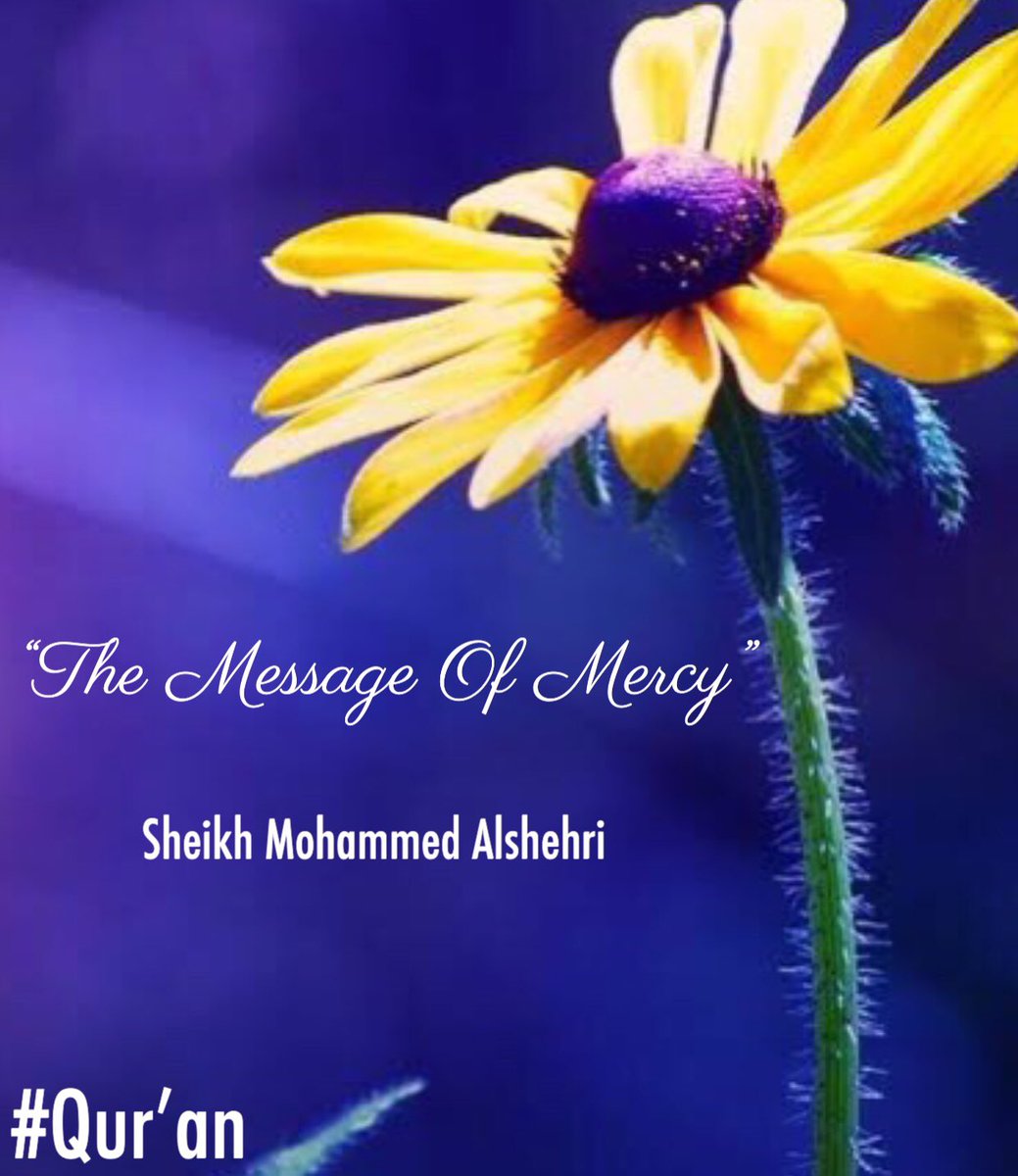 Moh_Alshehri24's tweet photo. ❝Allah sent prophet Muhammad (ﷺ) to the entire humanity with the Qur’an which abrogated and superseded all divine scriptures and legislations.❞

#QuotedFromTheMessageOfMercy
#RisālaturRahmah
#ByMohammedAlshehri
#S82 https://t.co/YXSTrkwvf2