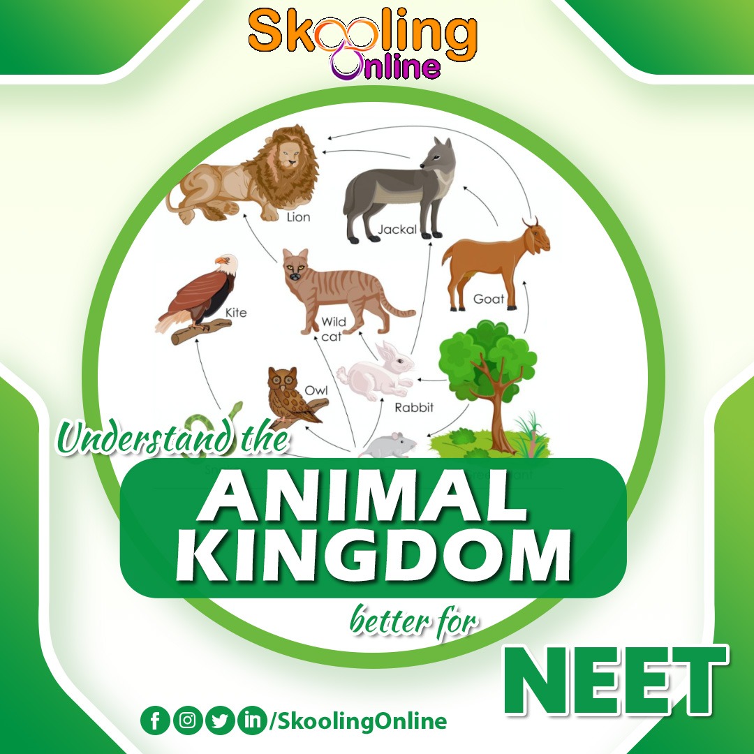 SkoolingOnline's tweet photo. Know more about the Animal Kingdom for #neetpreparation with personal guidance from #biologyexperts coming soon on #SkoolingOnline
.
.
#onlineneetcoaching #onlinebiologyclass #onlinebiologyclasses #onlinebiologytuition https://t.co/aBNAGAkTQW