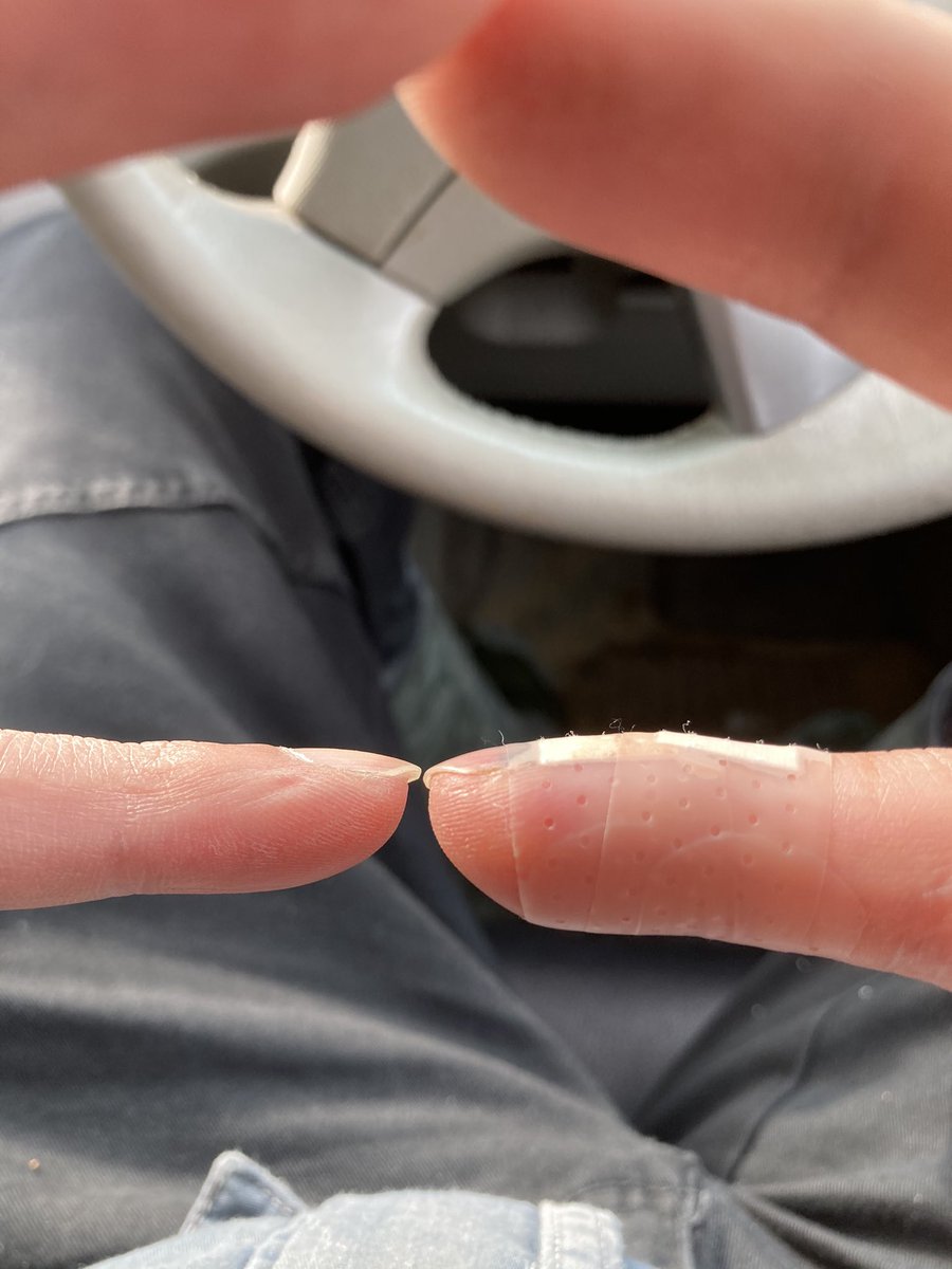 鳥肌たいし Torihada Taishi Twitter