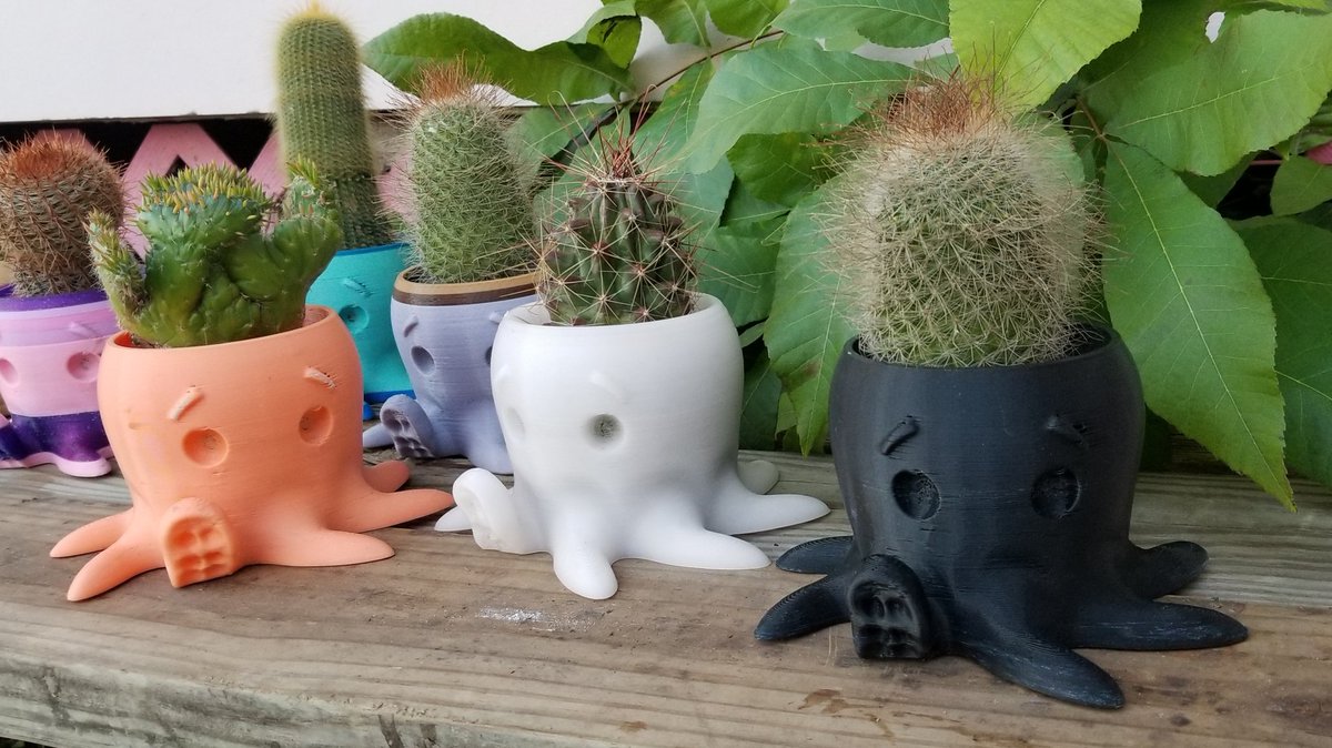 Succulent Succulents (@gotsucculents) on Twitter photo 