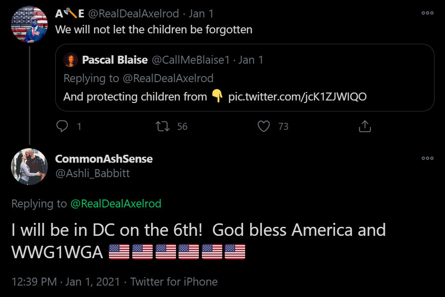 As Babbitt planned her DC trip, her feed was full of revolutionary language from MAGA and QANON accounts. When she announces she'll be going top DC on the 6th, it's replying to a posting about "not letting the children be forgotten." She tags her announcement with WWG1WGA.
