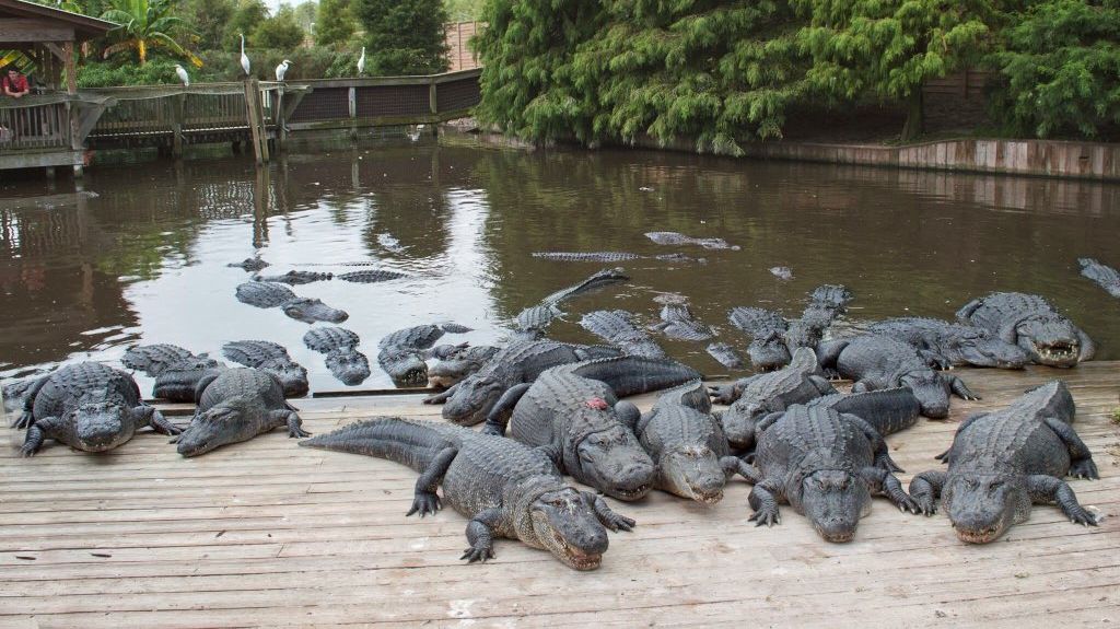 EPISODE 33: The Adventure of TERPESONA - "Kamu gapapa kan? Sini cerita sama aku."