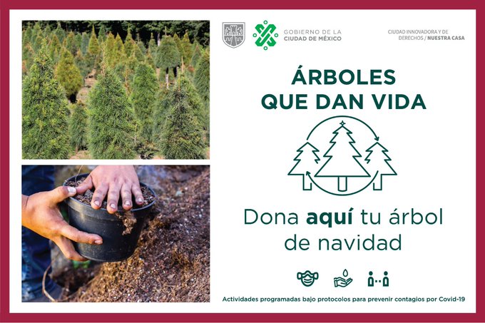 Si llegó la hora de decirle 🖐️🌲 adiós a tu árbol de Navidad, hazlo de forma responsable.

Dónalo y a cambio recibe 🪴 una planta, 🌳 otro árbol o 🔶 composta. 📍 Ubica los centros de acopio aquí: 👉 bit.ly/3pSszQ8

#CiudadSustentable