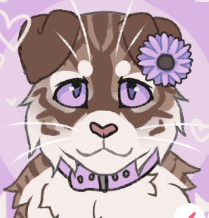 feliday ✦ on X: my warrior cats picrew probably    / X