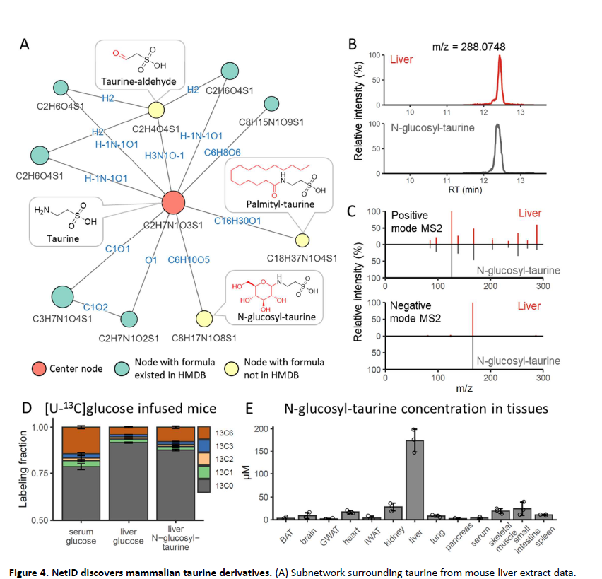 BiswapriyaMisra's tweet photo. "NetID": #Metabolite discovery through global #annotation of untargeted metabolomics data: https://t.co/R2l5Zxjbvq

@github :https://t.co/I6X5vyS8P4

#Rstats #metabolomics #annotation #package #software #tool #massspec #LCMS #feature #CompoundID #MSI #HMDB #network #edge #MSMS https://t.co/elHK1UZ7UP