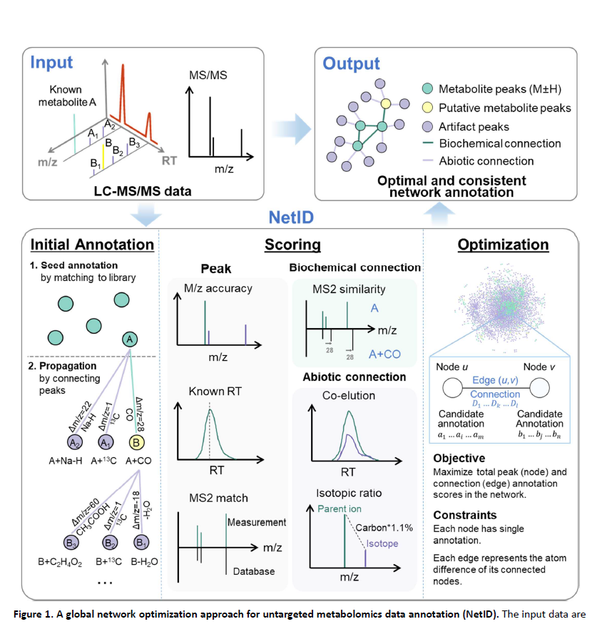 BiswapriyaMisra's tweet photo. "NetID": #Metabolite discovery through global #annotation of untargeted metabolomics data: https://t.co/R2l5Zxjbvq

@github :https://t.co/I6X5vyS8P4

#Rstats #metabolomics #annotation #package #software #tool #massspec #LCMS #feature #CompoundID #MSI #HMDB #network #edge #MSMS https://t.co/elHK1UZ7UP