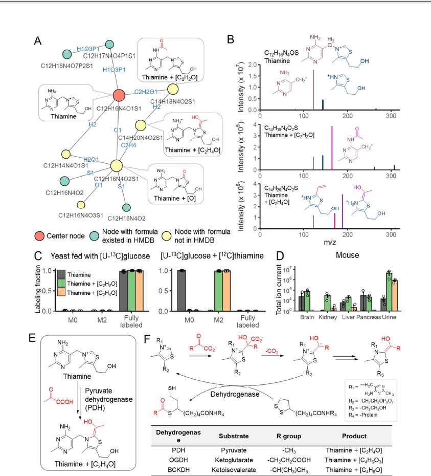 BiswapriyaMisra's tweet photo. "NetID": #Metabolite discovery through global #annotation of untargeted metabolomics data: https://t.co/R2l5Zxjbvq

@github :https://t.co/I6X5vyS8P4

#Rstats #metabolomics #annotation #package #software #tool #massspec #LCMS #feature #CompoundID #MSI #MSMS #network #RT #fragments https://t.co/5tU3GbLkvX