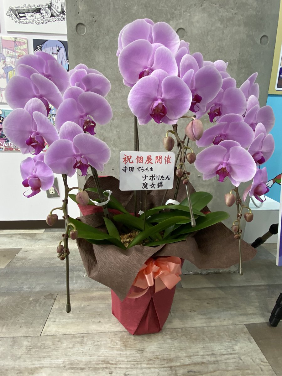 「ぬわーー!!!!!!死ぬほど嬉し!!!!い!!!!素敵なお花ありがとうございます」|寺田てらのイラスト