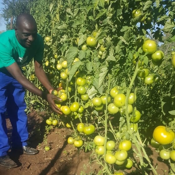 Thread by @mynzagric254 on Thread Reader App – Thread Reader App Thread by @mynzagric254 on Thread Reader App – Thread Reader App