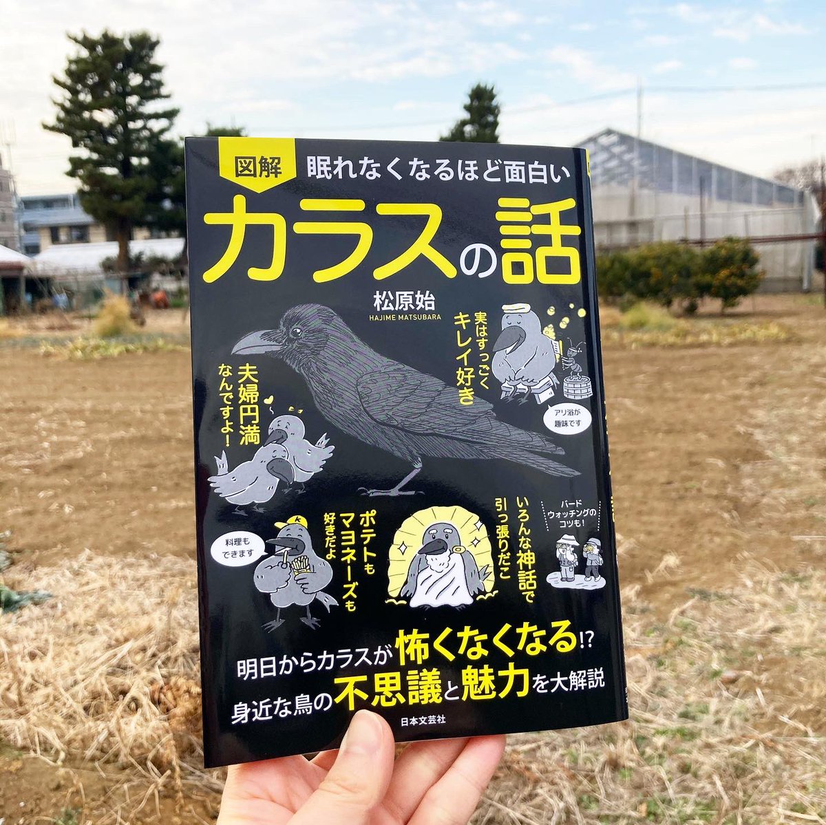 田中チズコ 眠れなくなるほどおもしろい 図解 カラスの話 日本文芸社 でイラストを担当しています 著者の動物行動学者 松原始先生のユーモア溢れる文章と図解で 意外と知らないカラスの行動のワケや生態について知ることができます デザインは