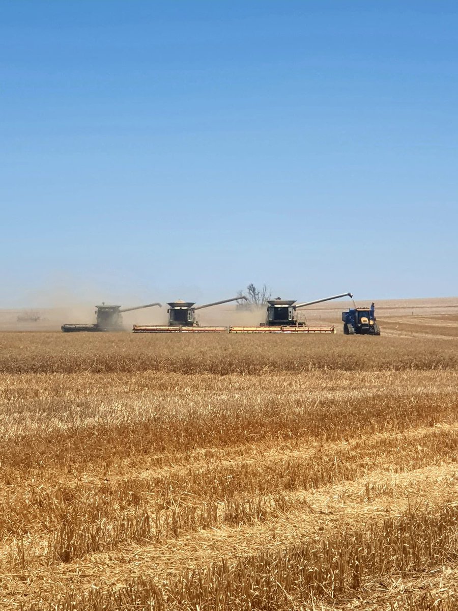 Got it done lunchtime on a Friday. 😁🍻