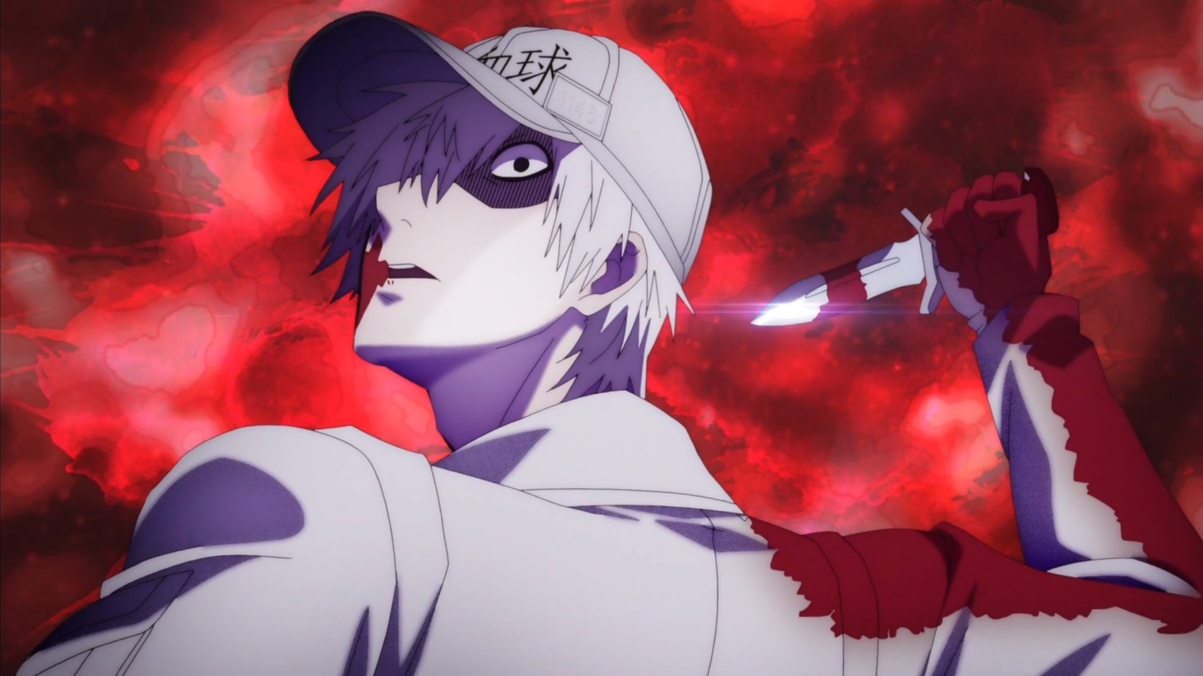 ITS NOT OVER~ SEASON 2! Can't wait to see Loli- white blood cells~ 』 - - 。  。 。 ⏩ Hataraku Saibou BLACK ⏪ EP:…