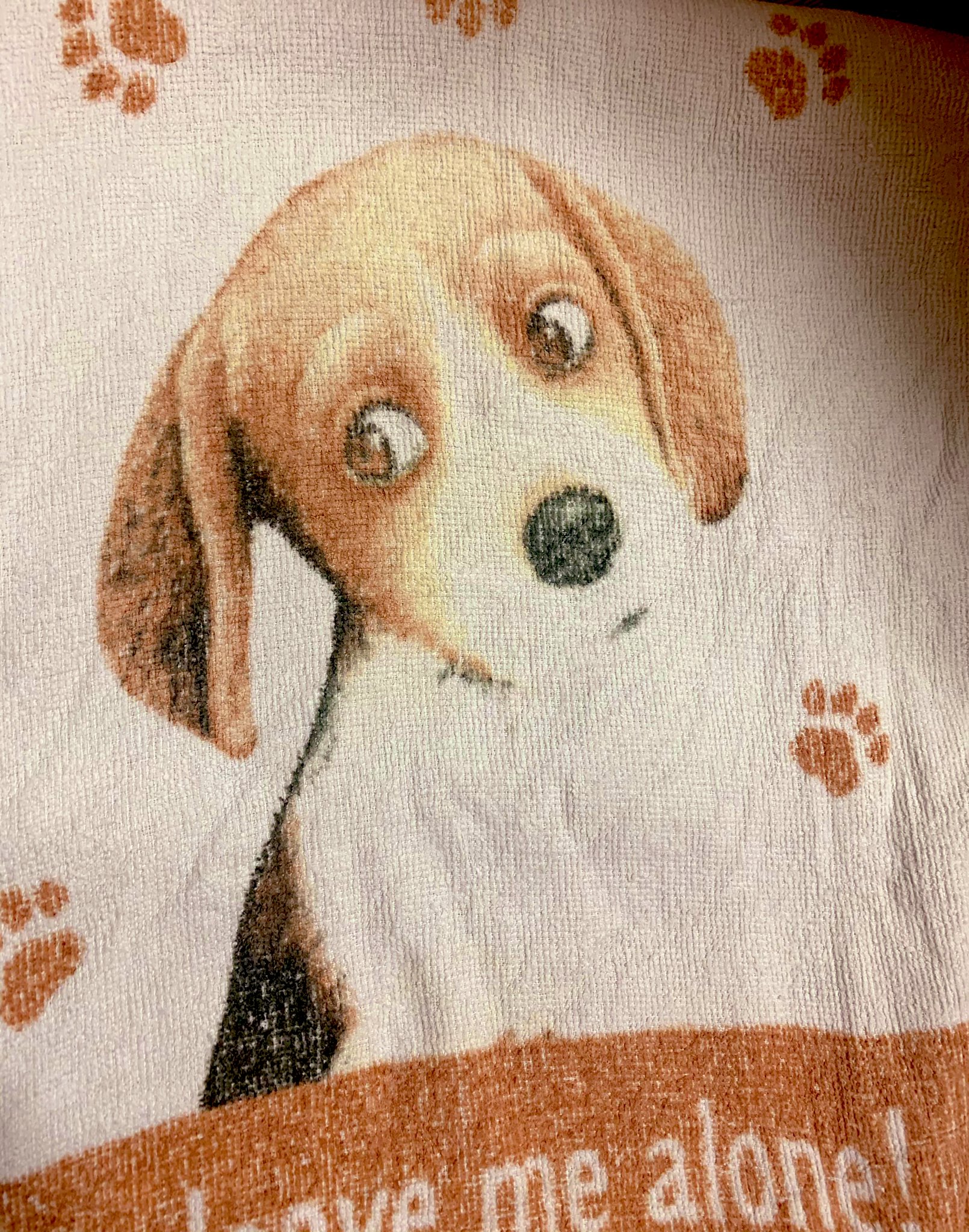いの 昔usoジャパンで 押井守監督のインタビュー中に着ているトレーナーの犬 が瞬きするという恐怖映像があったけど こちらはそのトレーナーに描かれているのと全く同じ犬のタオルです T Co Uampmy8kwc Twitter