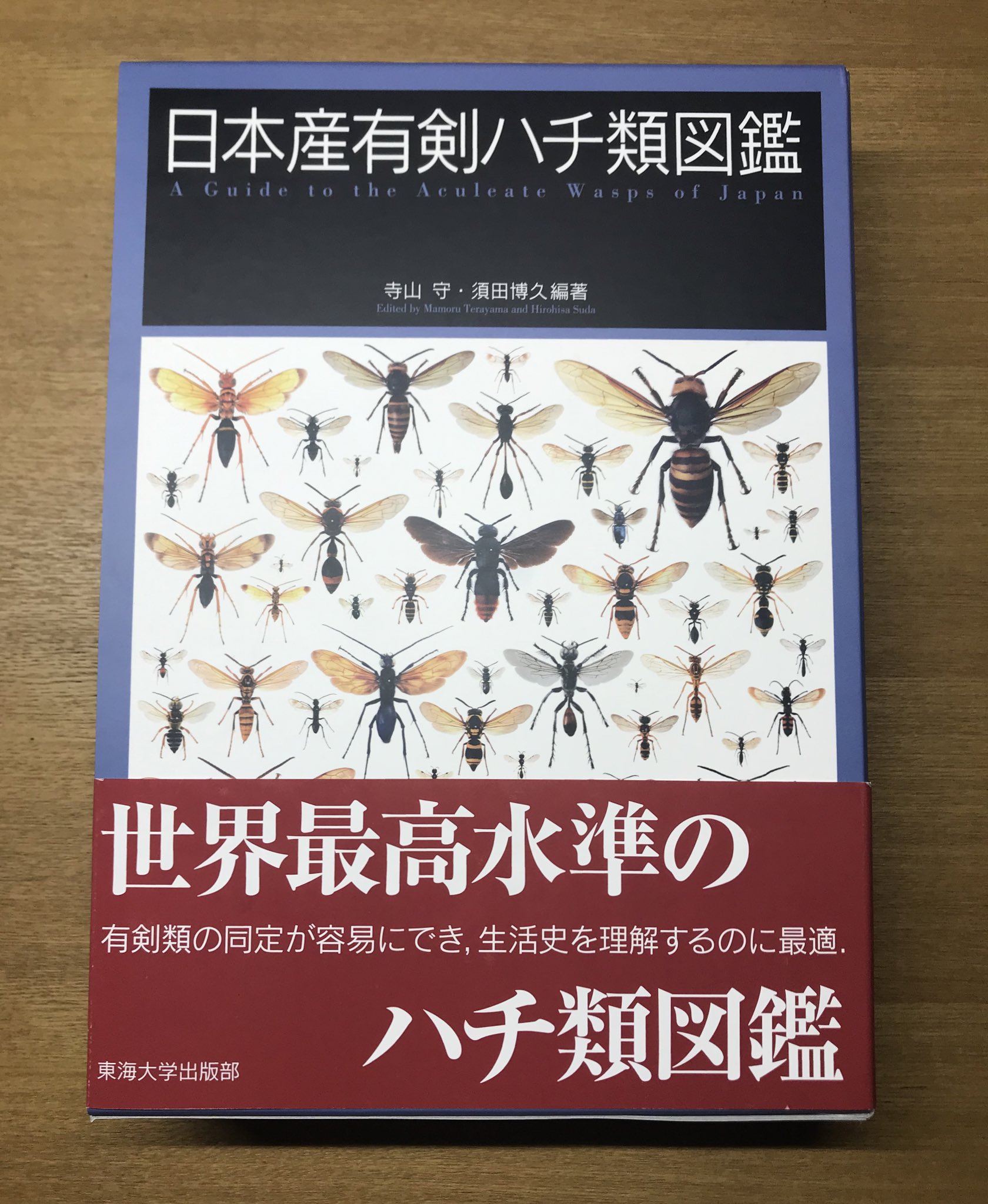 日本産ハバチ・キバチ類図鑑（ハグロハバチの検索 - 奈良のむし