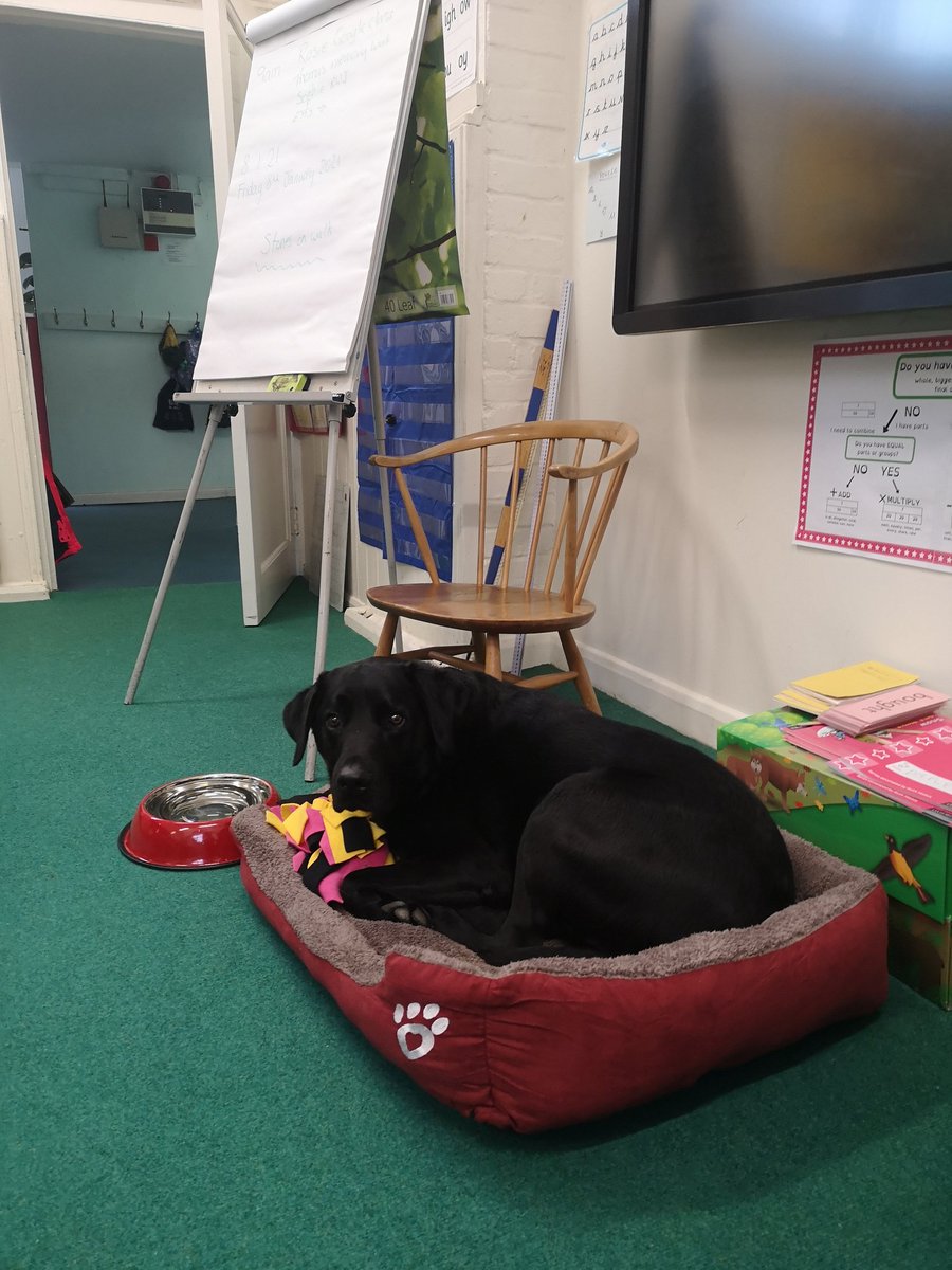 stevens_con's tweet photo. Teasel has the teachers post for the keyworker and vulnerable children at school. He seems quite chilled about it. I'll follow his lead. https://t.co/fVZ9PgHkbU