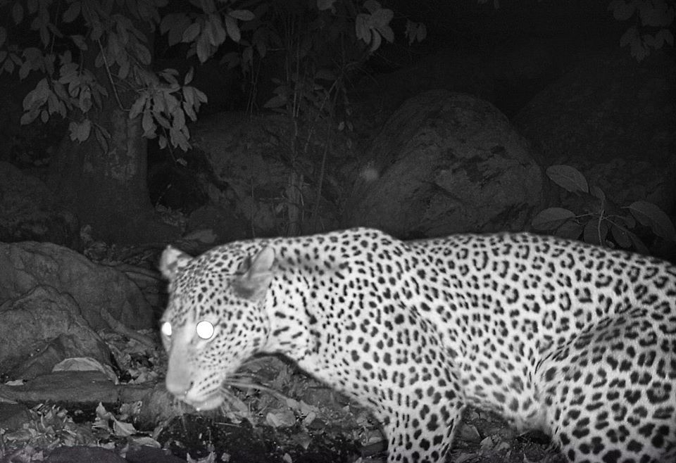 sarahsgonewild's tweet photo. #OutambaKilimi is home forest elephants, common hippos, leopards, hyenas, chimpanzees, plus 12 other primate species and more birds than I'd care to count https://t.co/8WHqJ71Cs5