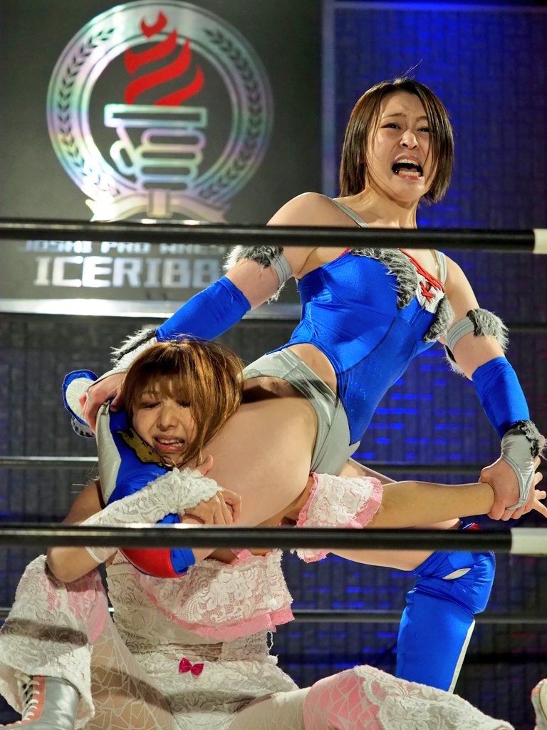 ネギ と オリヴァー on Twitter 