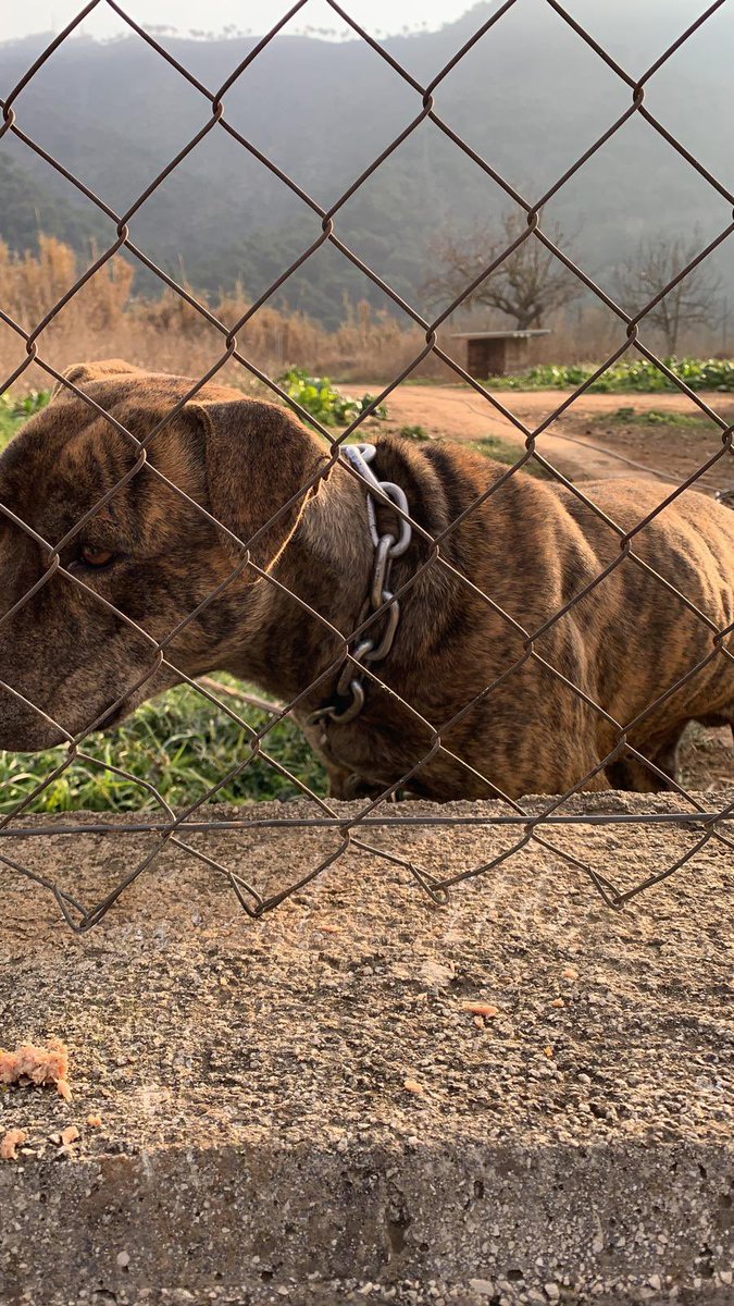 Sita Woodsen tweet media