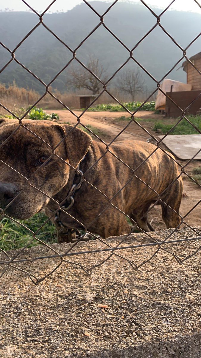 Sita Woodsen tweet media