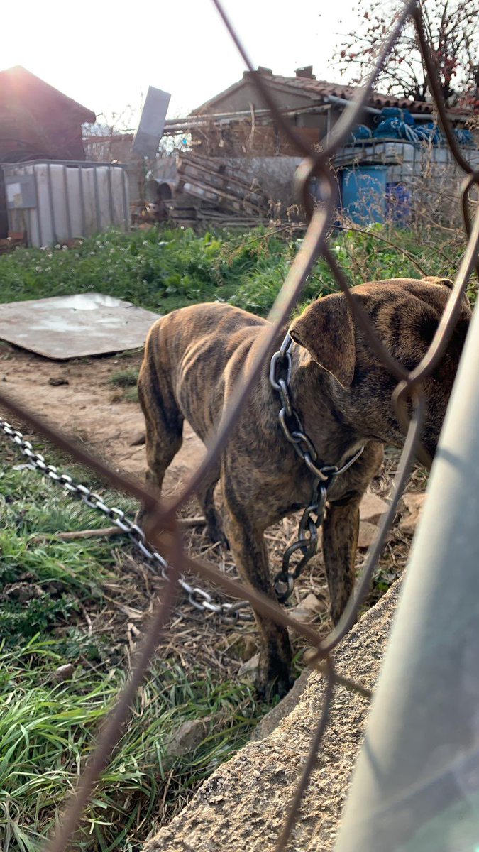 Sita Woodsen tweet media